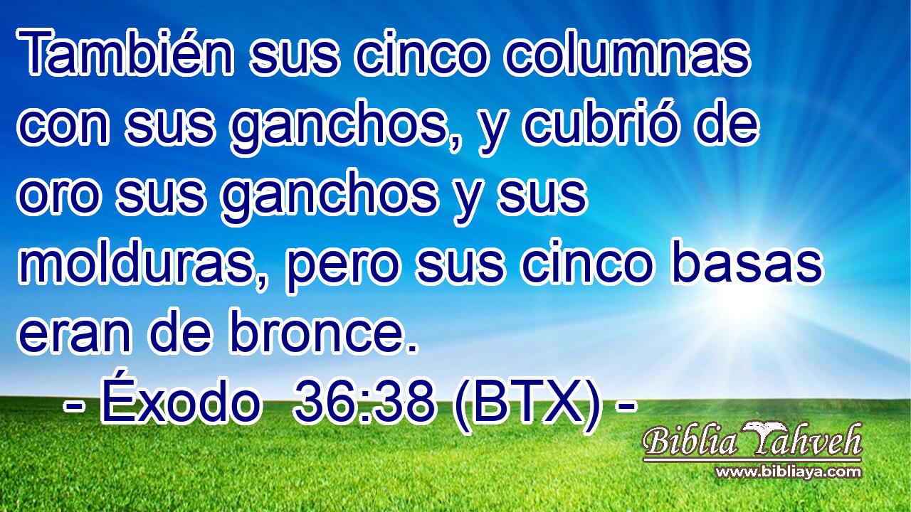 También sus cinco columnas con sus ganchos, y cubrió de oro sus ganchos y sus molduras, pero sus cinco basas eran de bronce.