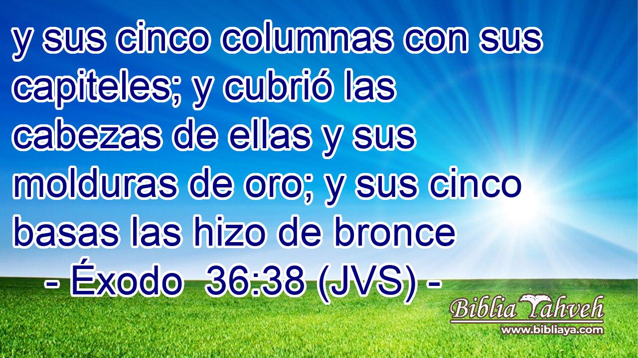 y sus cinco columnas con sus capiteles; y cubrió las cabezas de ellas y sus molduras de oro; y sus cinco basas las hizo de bronce
