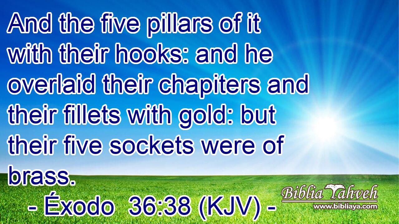 And the five pillars of it with their hooks: and he overlaid their chapiters and their fillets with gold: but their five sockets were of brass.