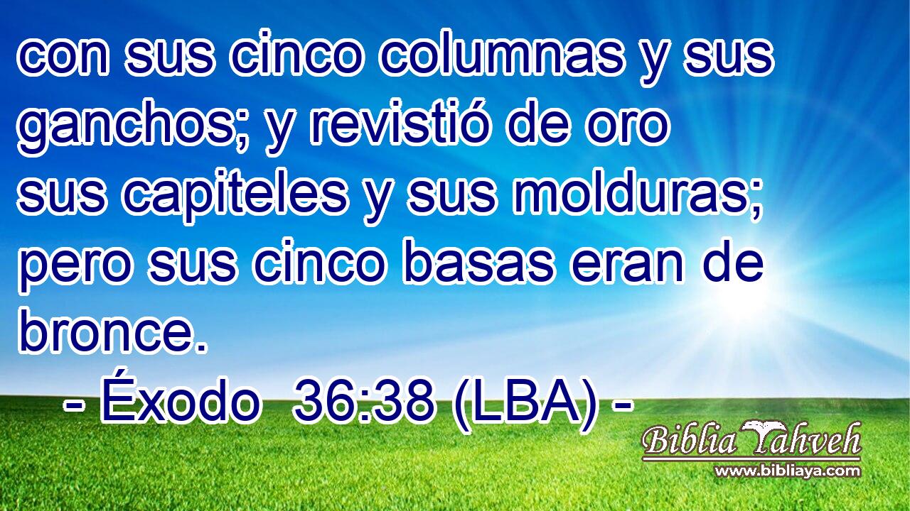 con sus cinco columnas y sus ganchos; y revistió de oro sus capiteles y sus molduras; pero sus cinco basas eran de bronce.