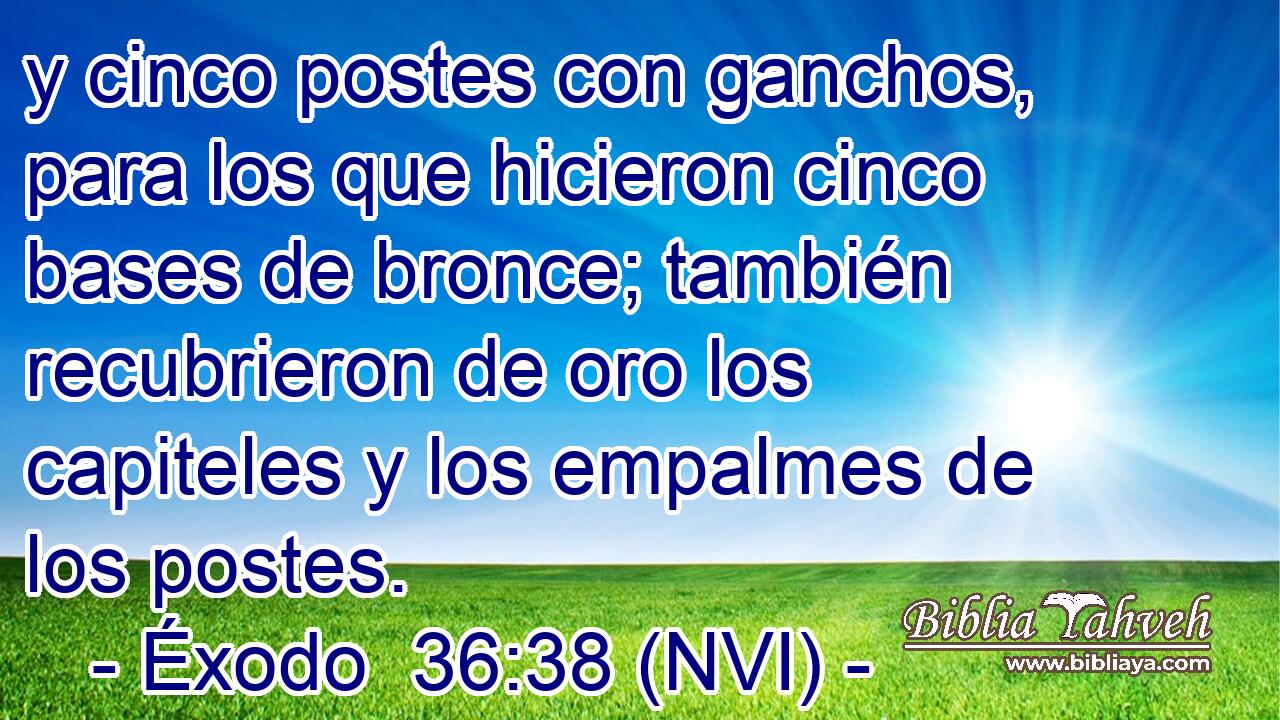  y cinco postes con ganchos, para los que hicieron cinco bases de bronce; también recubrieron de oro los capiteles y los empalmes de los postes. 