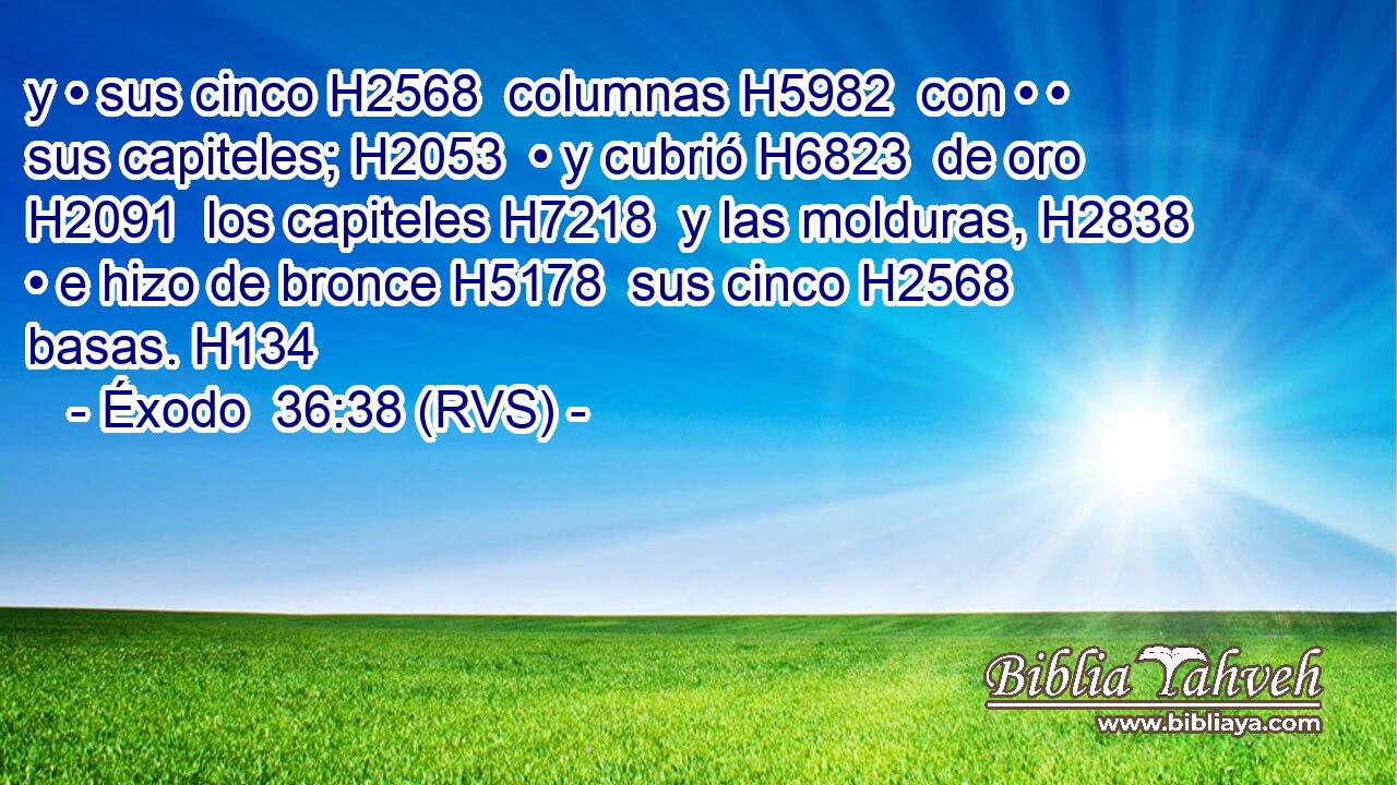 y • sus cinco H2568  columnas H5982  con • • sus capiteles; H2053  • y cubrió H6823  de oro H2091  los capiteles H7218  y las molduras, H2838  • e hizo de bronce H5178  sus cinco H2568  basas. H134  