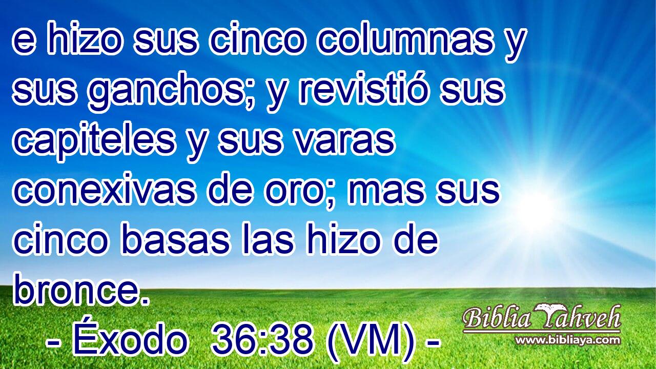  e hizo sus cinco columnas y sus ganchos; y revistió sus capiteles y sus varas conexivas de oro; mas sus cinco basas las hizo de bronce. 