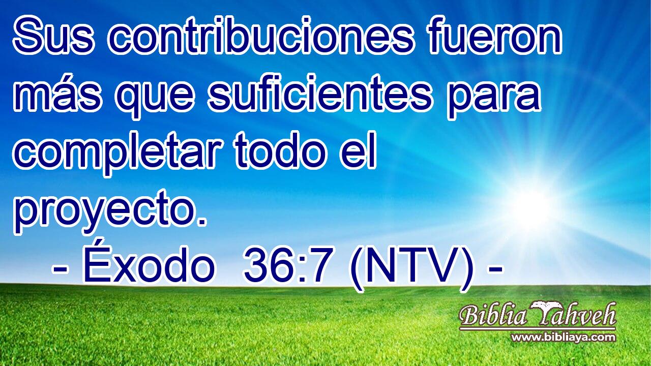 Sus contribuciones fueron más que suficientes para completar todo el proyecto.