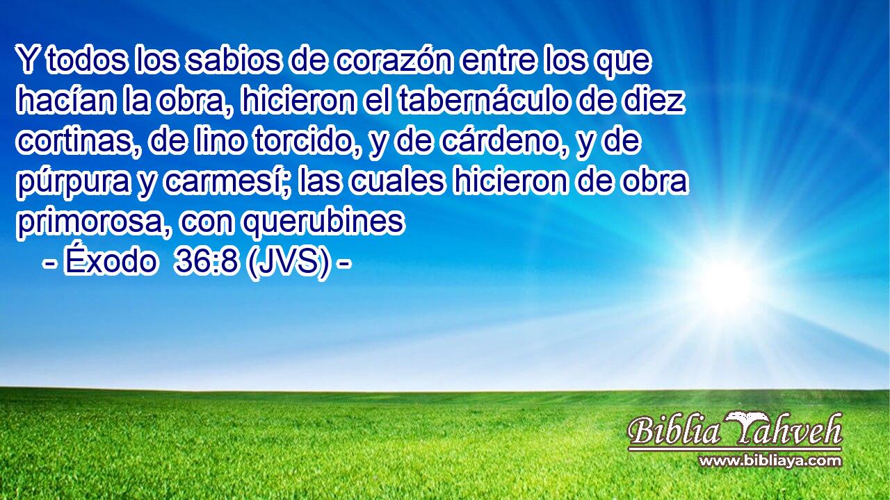 Y todos los sabios de corazón entre los que hacían la obra, hicieron el tabernáculo de diez cortinas, de lino torcido, y de cárdeno, y de púrpura y carmesí; las cuales hicieron de obra primorosa, con querubines