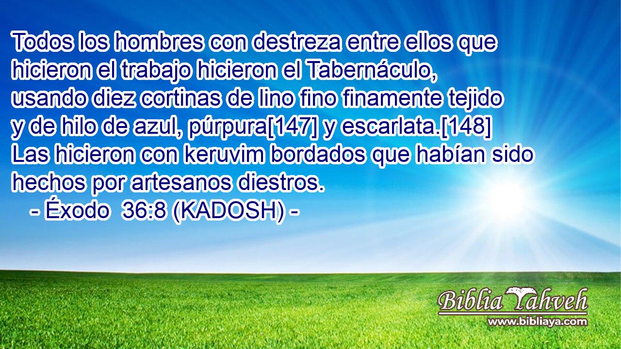  Todos los hombres con destreza entre ellos que hicieron el trabajo hicieron el Tabernáculo, usando diez cortinas de lino fino finamente tejido y de hilo de azul, púrpura[147] y escarlata.[148] Las hicieron con keruvim bordados que habían sido hechos por artesanos diestros. 