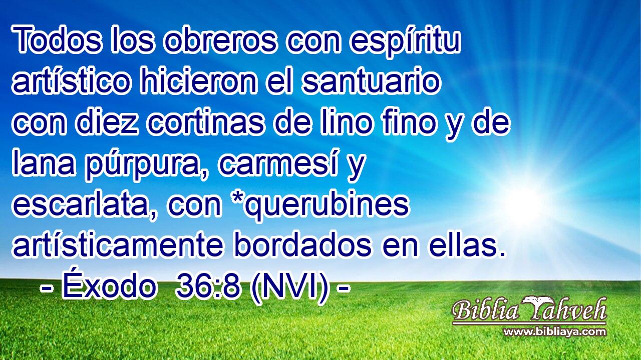  Todos los obreros con espíritu artístico hicieron el santuario con diez cortinas de lino fino y de lana púrpura, carmesí y escarlata, con *querubines artísticamente bordados en ellas. 