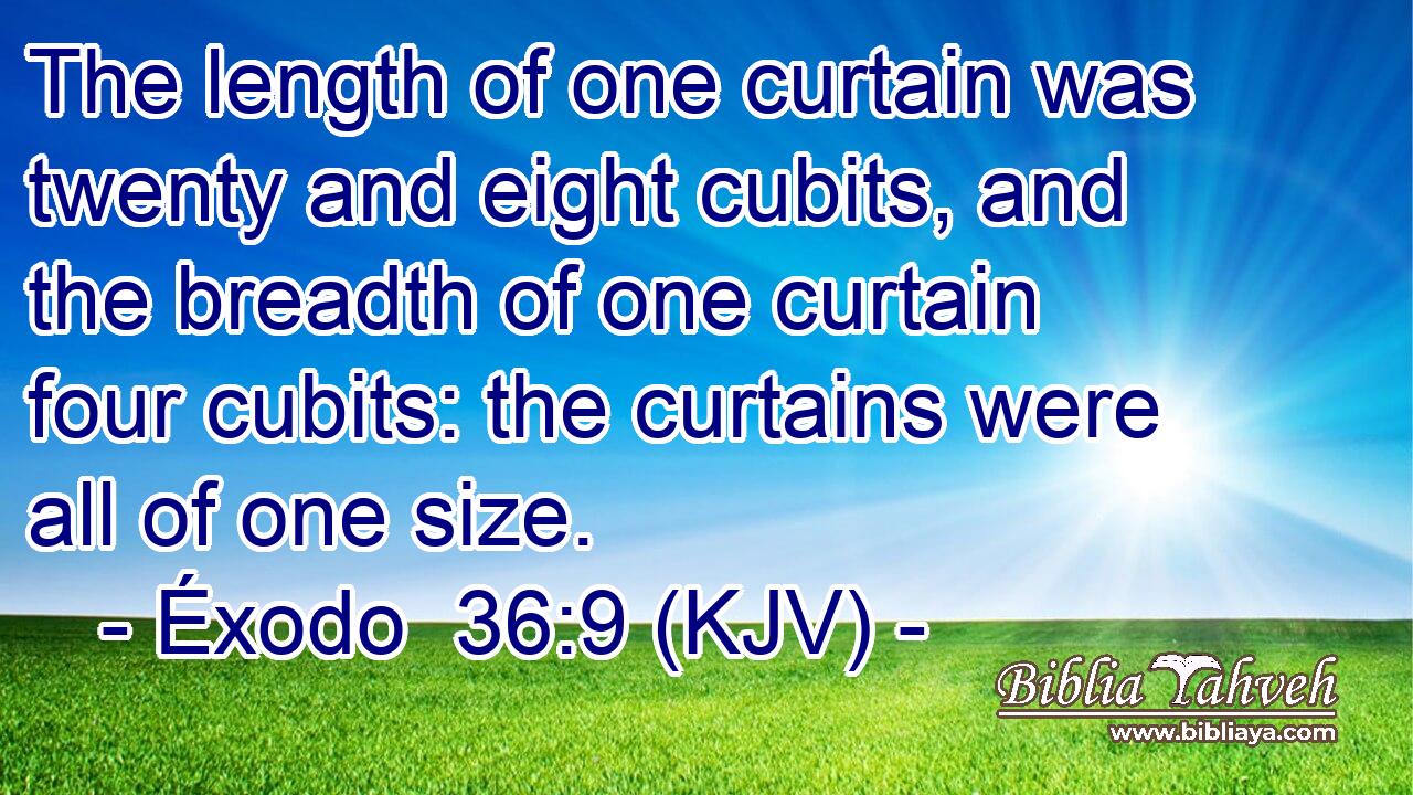 The length of one curtain was twenty and eight cubits, and the breadth of one curtain four cubits: the curtains were all of one size.