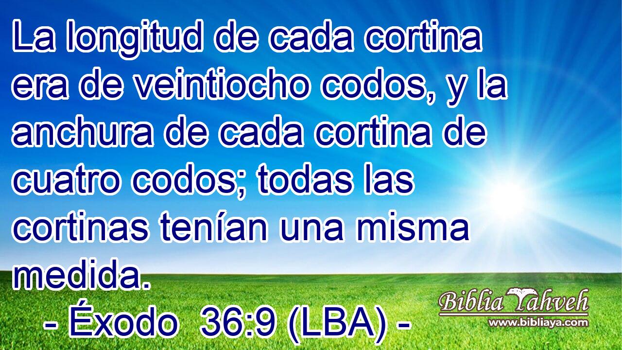 La longitud de cada cortina era de veintiocho codos, y la anchura de cada cortina de cuatro codos; todas las cortinas tenían una misma medida.