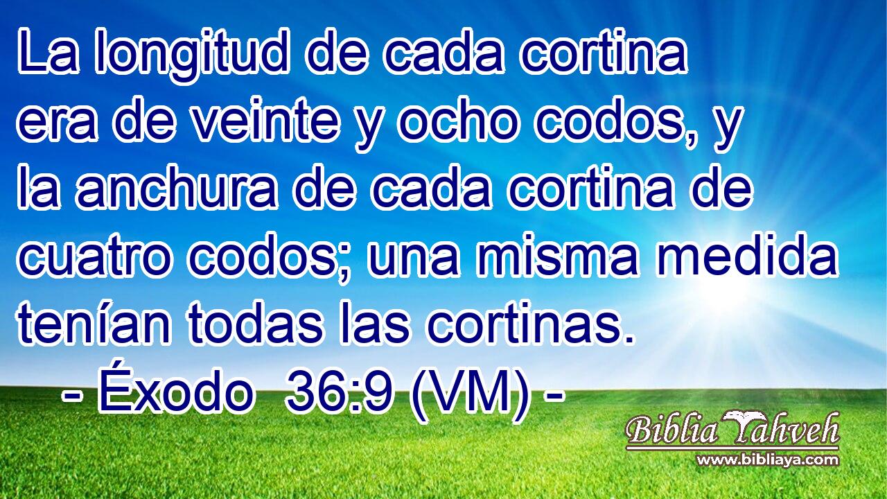  La longitud de cada cortina era de veinte y ocho codos, y la anchura de cada cortina de cuatro codos; una misma medida tenían todas las cortinas. 