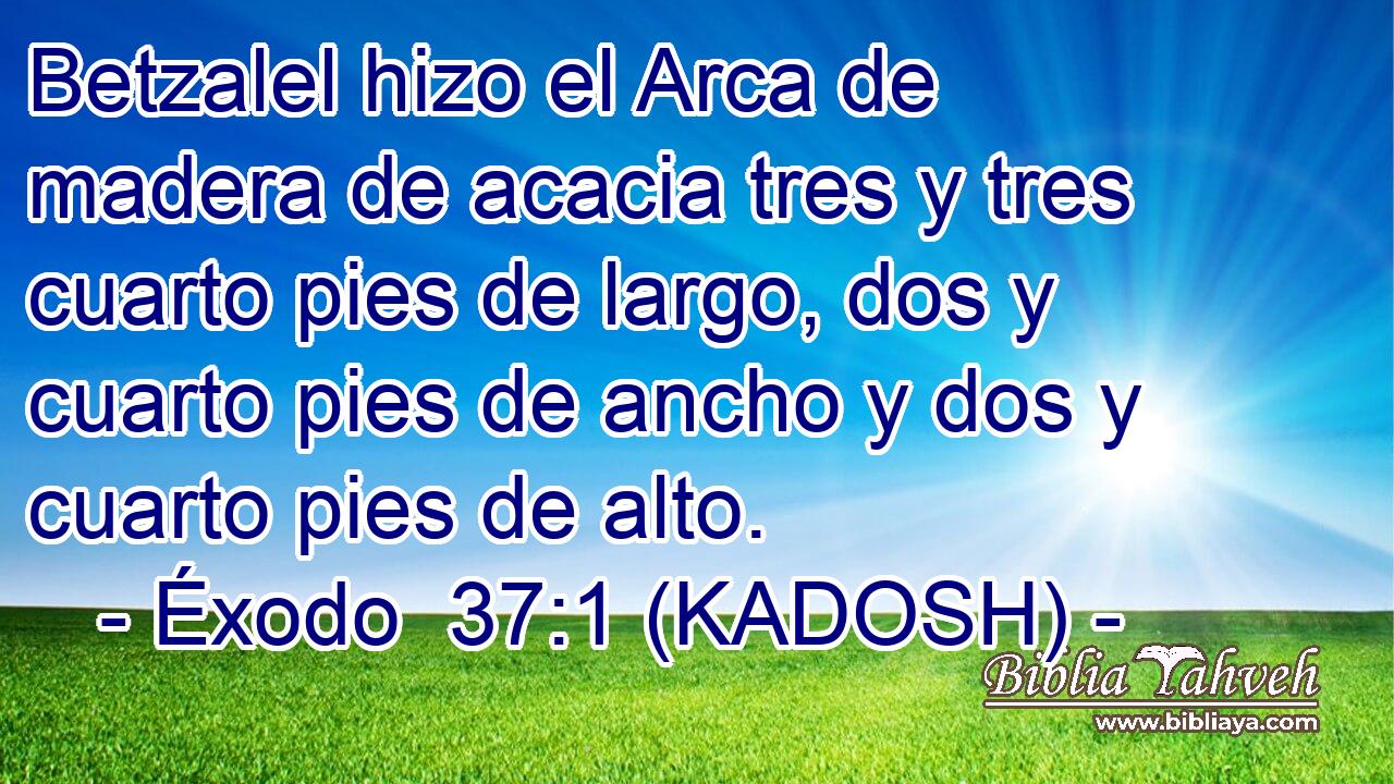  Betzalel hizo el Arca de madera de acacia tres y tres cuarto pies de largo, dos y cuarto pies de ancho y dos y cuarto pies de alto. 