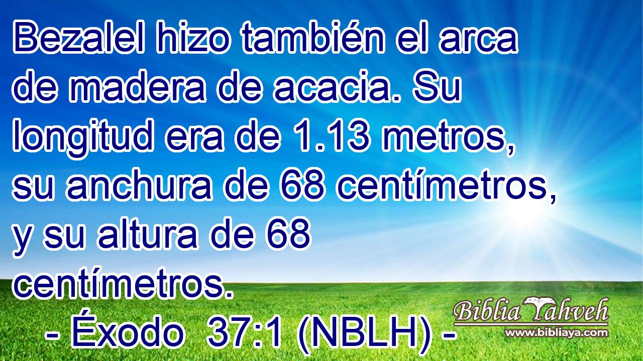  Bezalel hizo también el arca de madera de acacia. Su longitud era de 1.13 metros, su anchura de 68 centímetros, y su altura de 68 centímetros. 