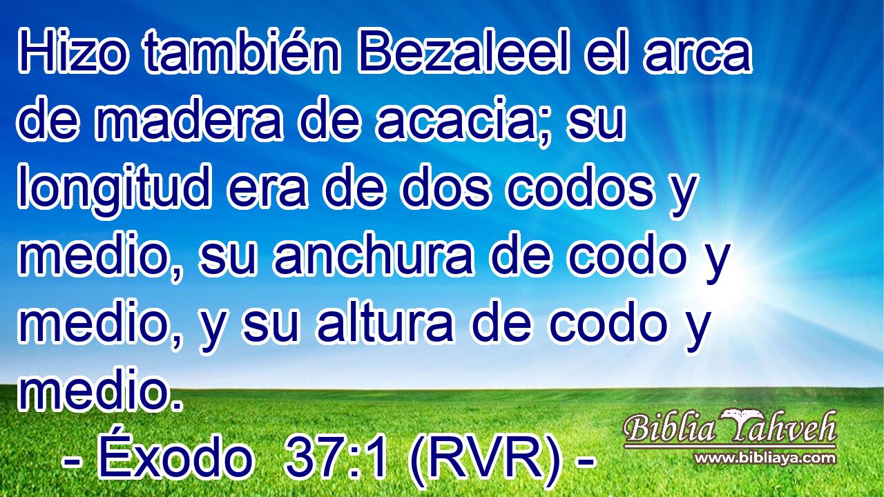 Hizo también Bezaleel el arca de madera de acacia; su longitud era de dos codos y medio, su anchura de codo y medio, y su altura de codo y medio.