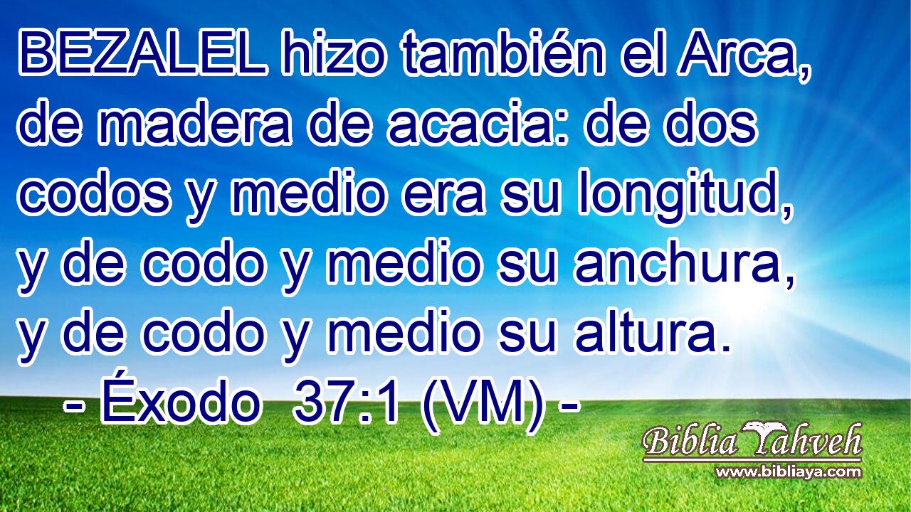  BEZALEL hizo también el Arca, de madera de acacia: de dos codos y medio era su longitud, y de codo y medio su anchura, y de codo y medio su altura. 
