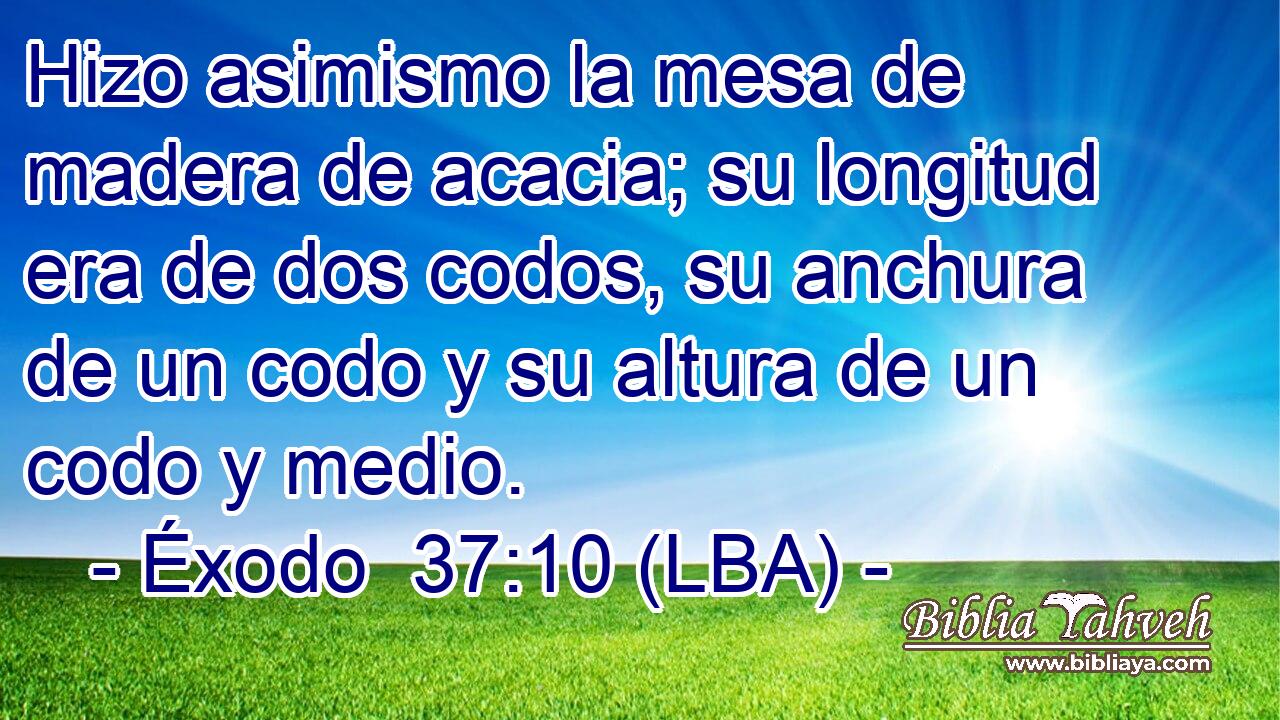 Hizo asimismo la mesa de madera de acacia; su longitud era de dos codos, su anchura de un codo y su altura de un codo y medio.