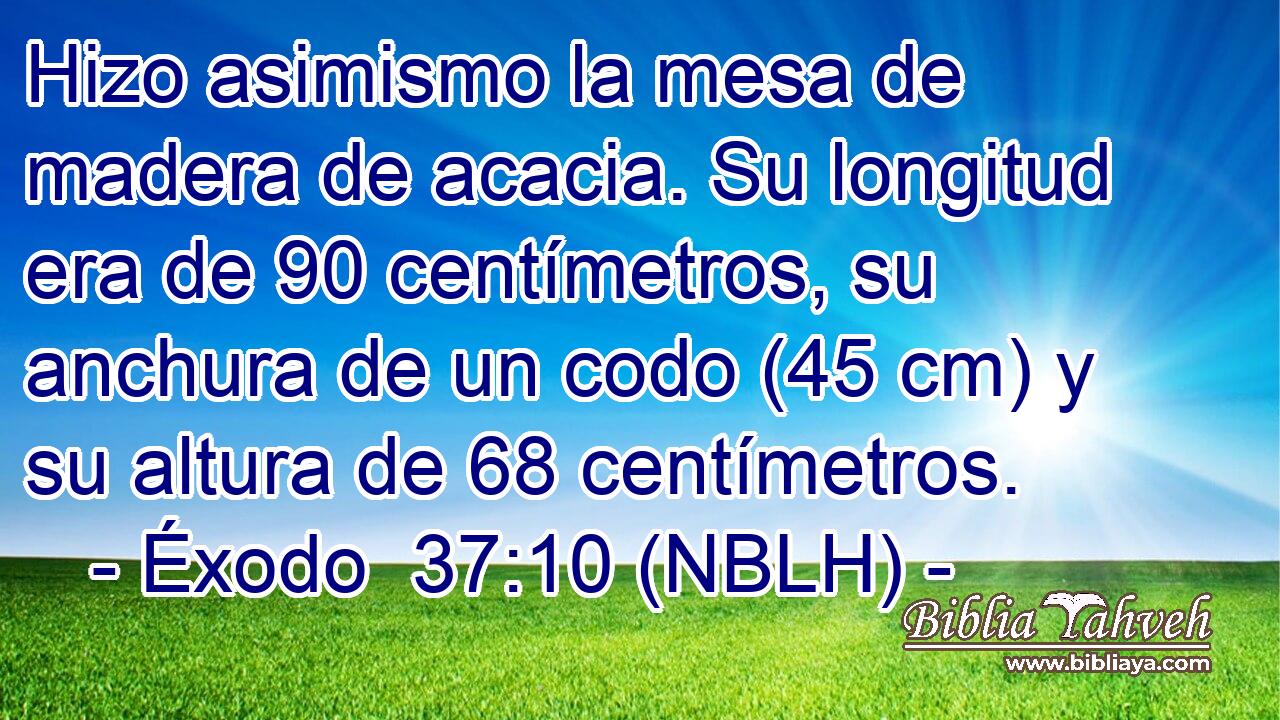  Hizo asimismo la mesa de madera de acacia. Su longitud era de 90 centímetros, su anchura de un codo (45 cm) y su altura de 68 centímetros. 