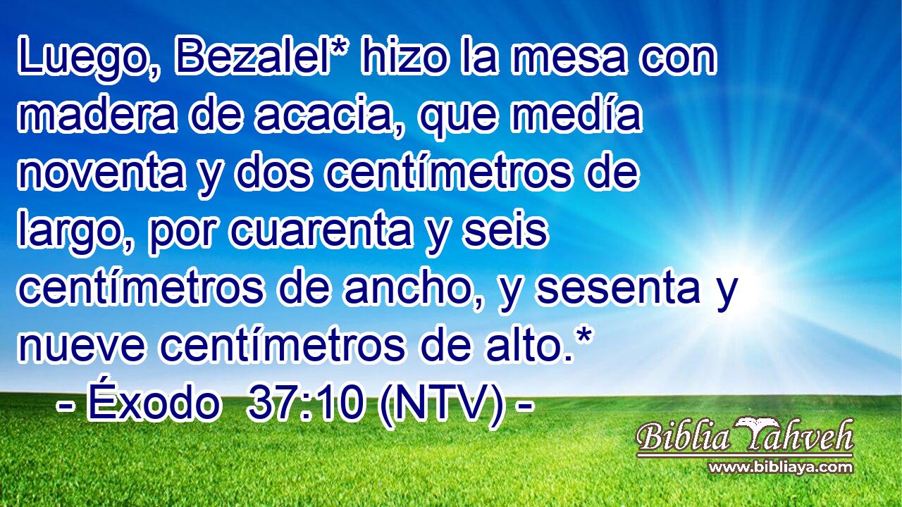 Luego, Bezalel* hizo la mesa con madera de acacia, que medía noventa y dos centímetros de largo, por cuarenta y seis centímetros de ancho, y sesenta y nueve centímetros de alto.*