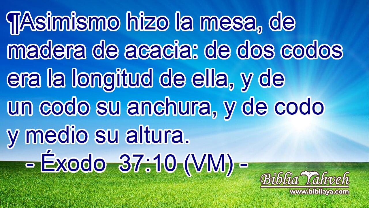  ¶Asimismo hizo la mesa, de madera de acacia: de dos codos era la longitud de ella, y de un codo su anchura, y de codo y medio su altura. 