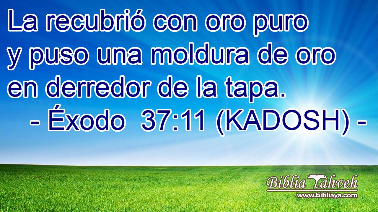  La recubrió con oro puro y puso una moldura de oro en derredor de la tapa. 
