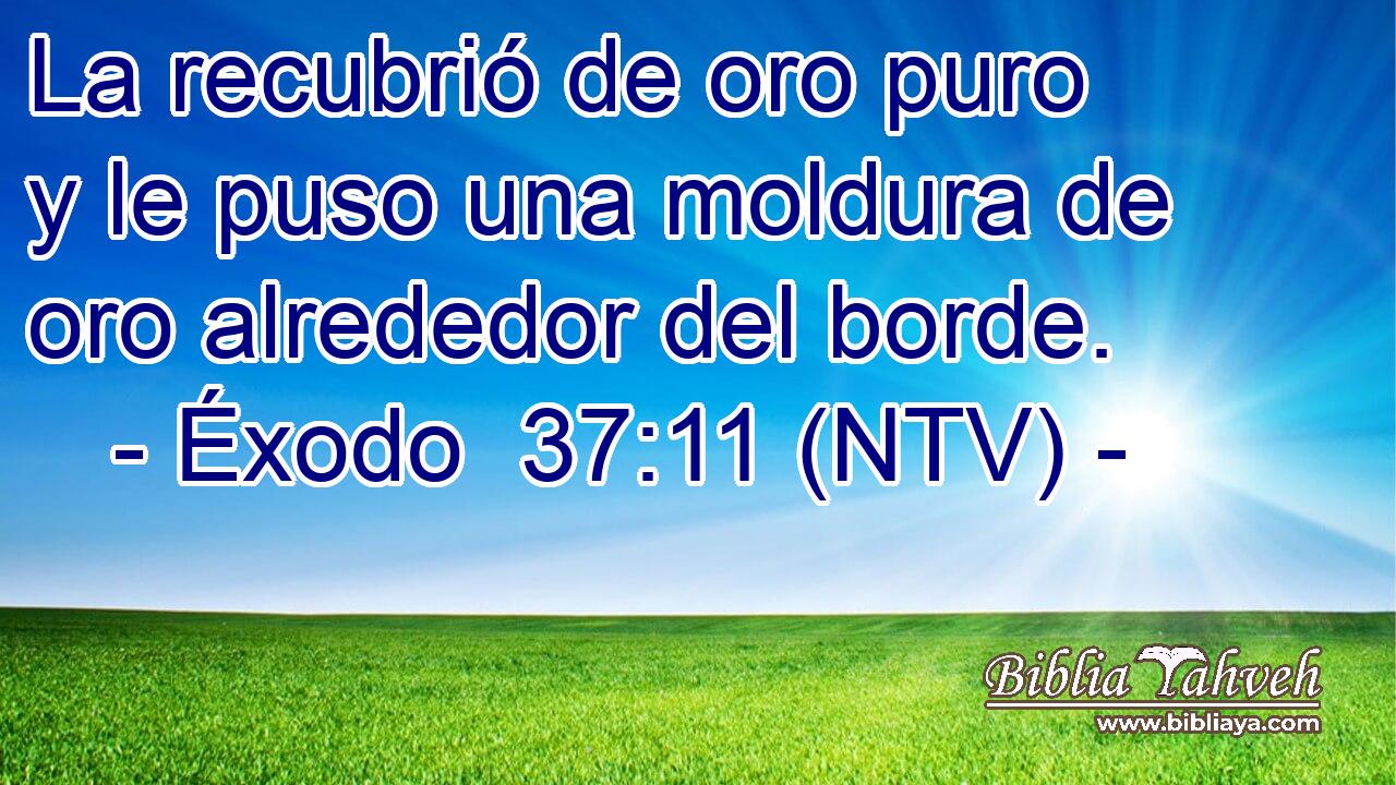 La recubrió de oro puro y le puso una moldura de oro alrededor del borde.