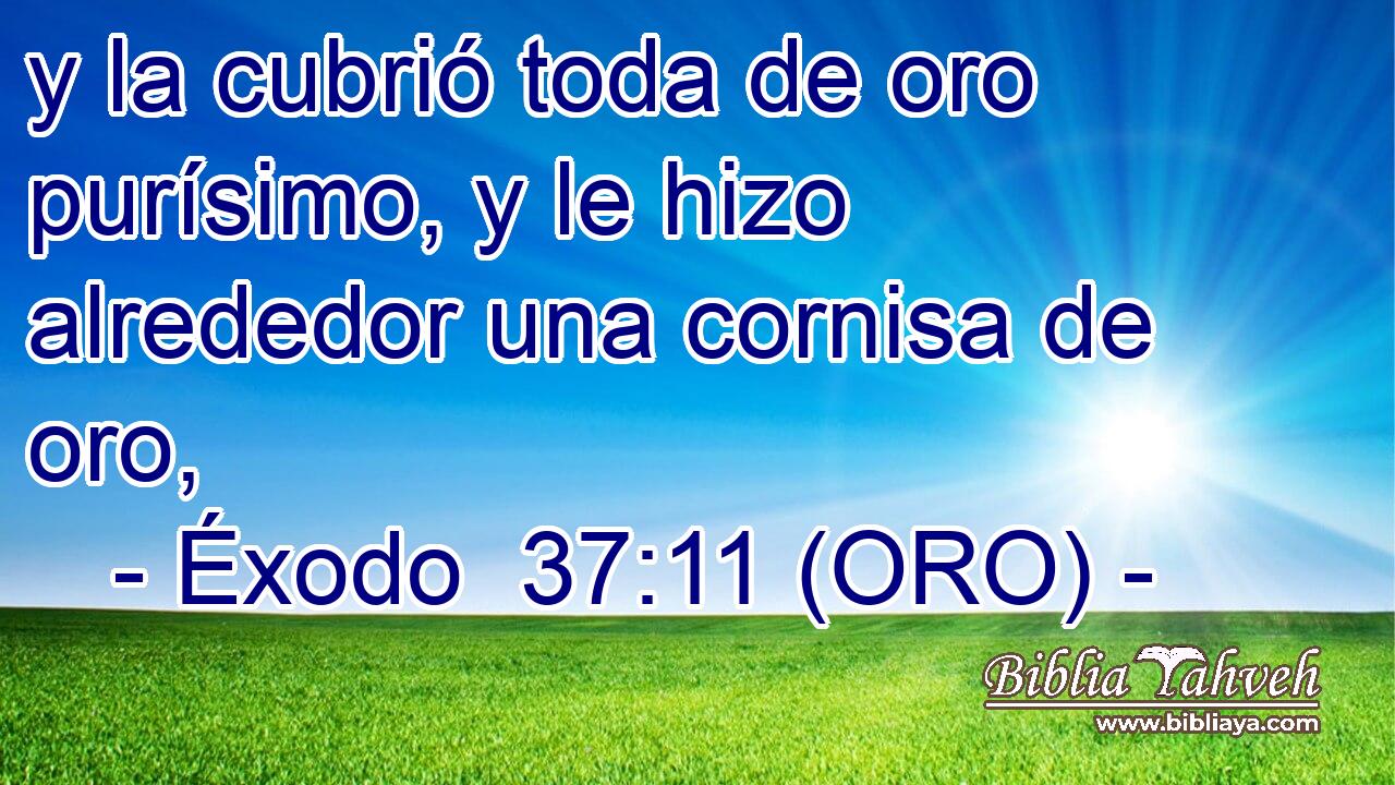  y la cubrió toda de oro purísimo, y le hizo alrededor una cornisa de oro, 