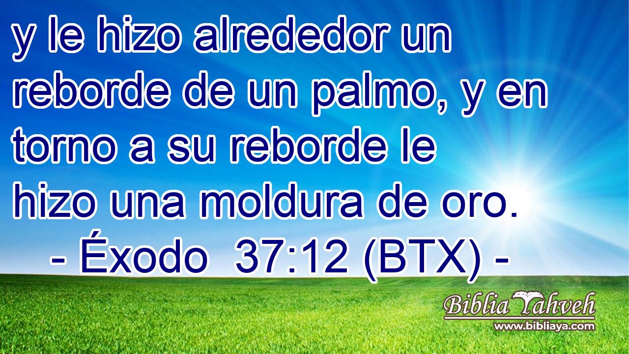 y le hizo alrededor un reborde de un palmo, y en torno a su reborde le hizo una moldura de oro.