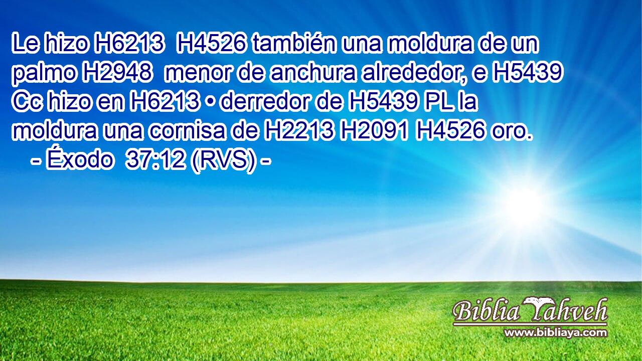 Le hizo H6213  H4526 también una moldura de un palmo H2948  menor de anchura alrededor, e H5439 Cc hizo en H6213 • derredor de H5439 PL la moldura una cornisa de H2213 H2091 H4526 oro. 