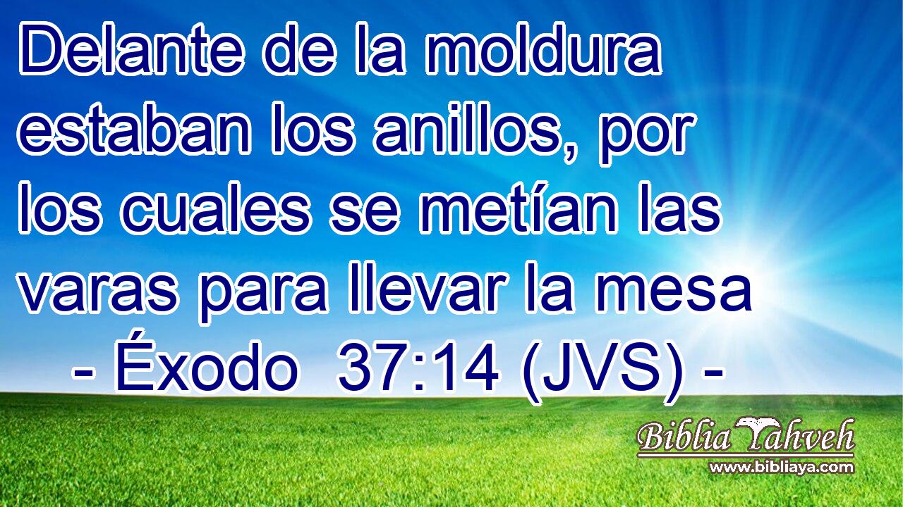 Delante de la moldura estaban los anillos, por los cuales se metían las varas para llevar la mesa