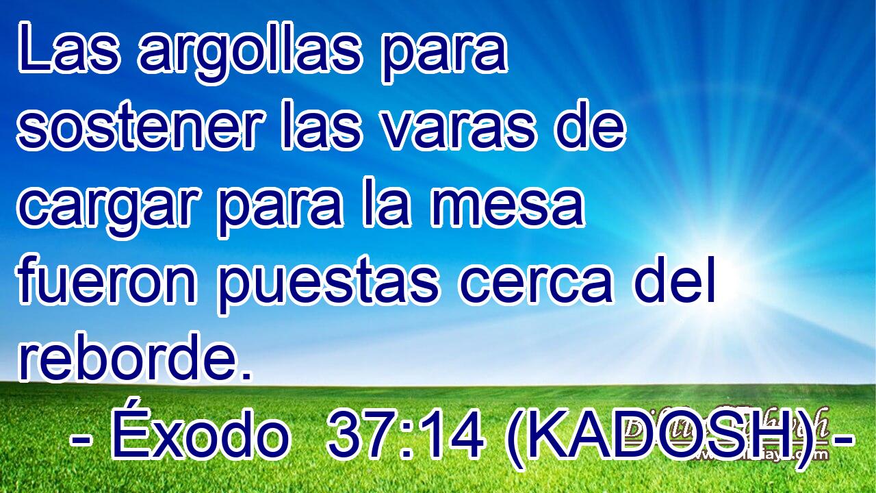  Las argollas para sostener las varas de cargar para la mesa fueron puestas cerca del reborde. 