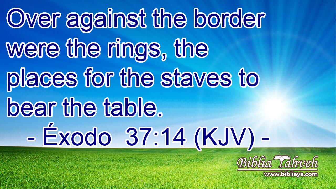 Over against the border were the rings, the places for the staves to bear the table.
