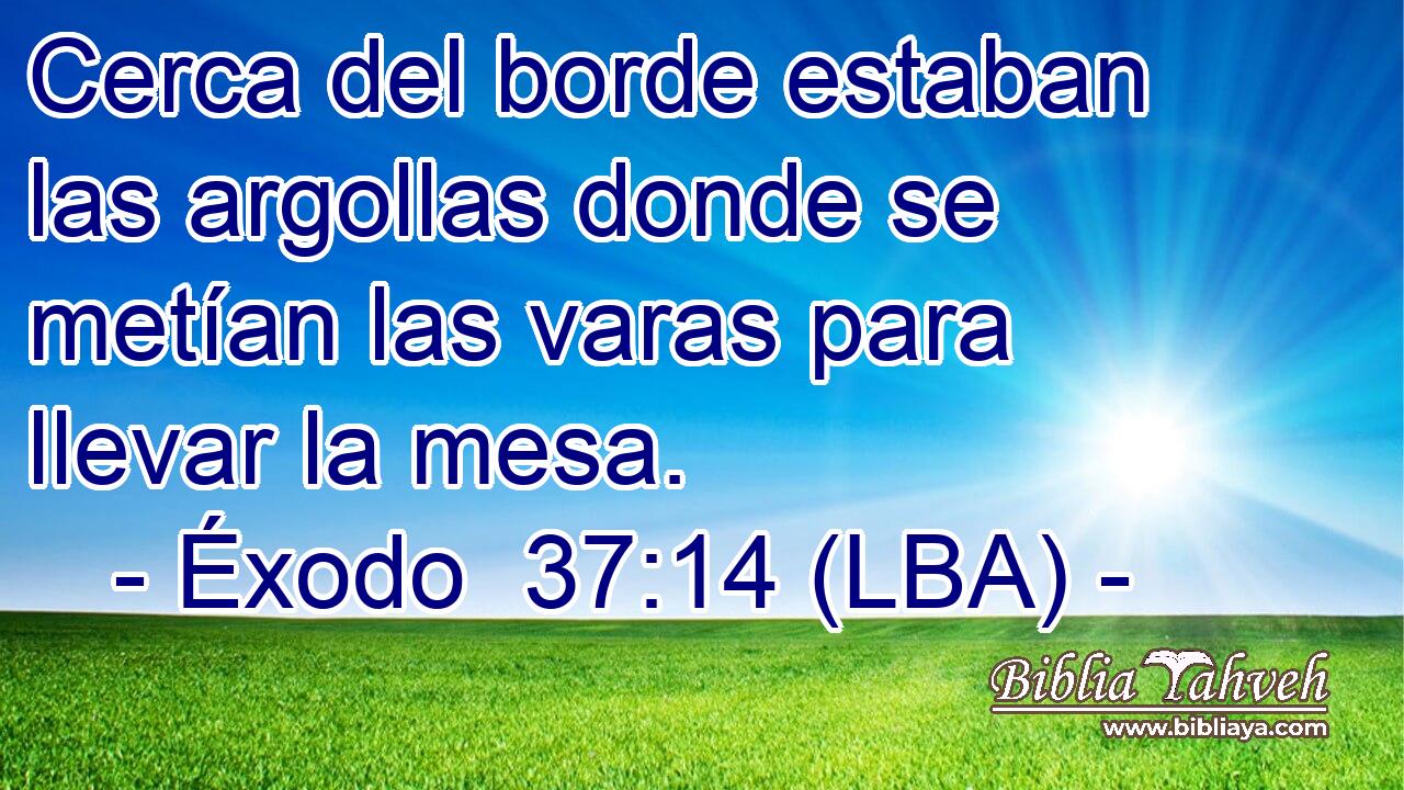 Cerca del borde estaban las argollas donde se metían las varas para llevar la mesa.