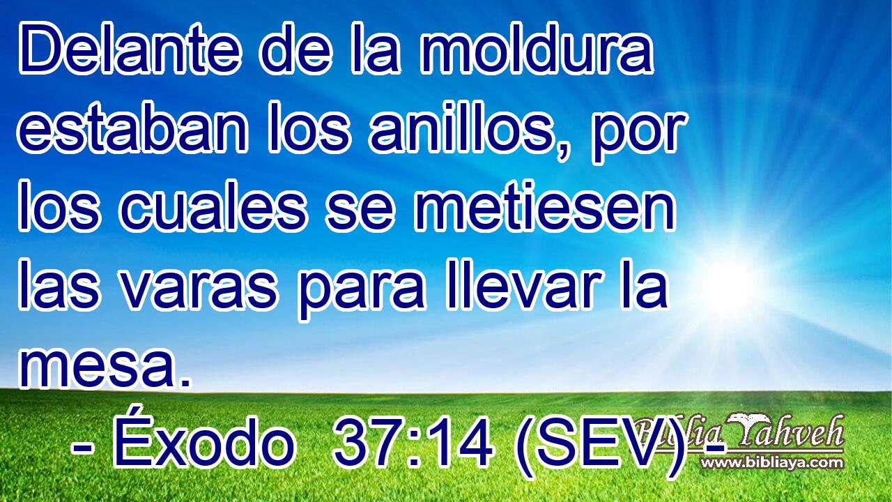 Delante de la moldura estaban los anillos, por los cuales se metiesen las varas para llevar la mesa.