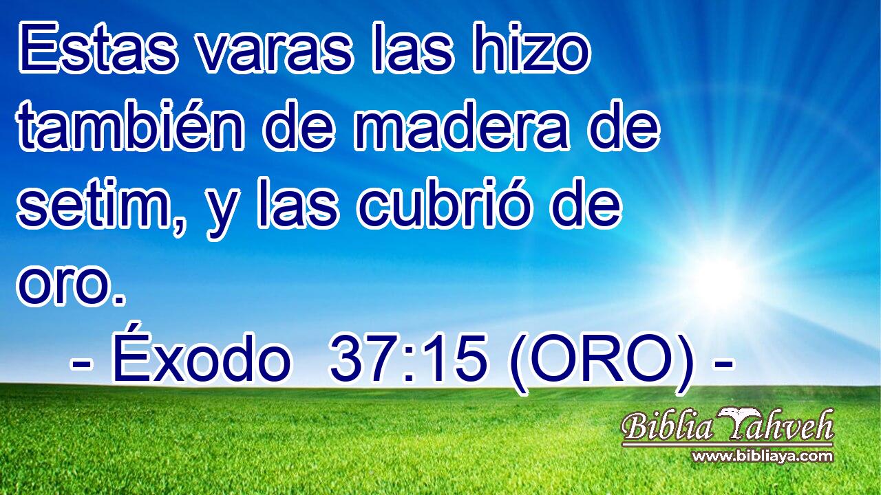  Estas varas las hizo también de madera de setim, y las cubrió de oro. 