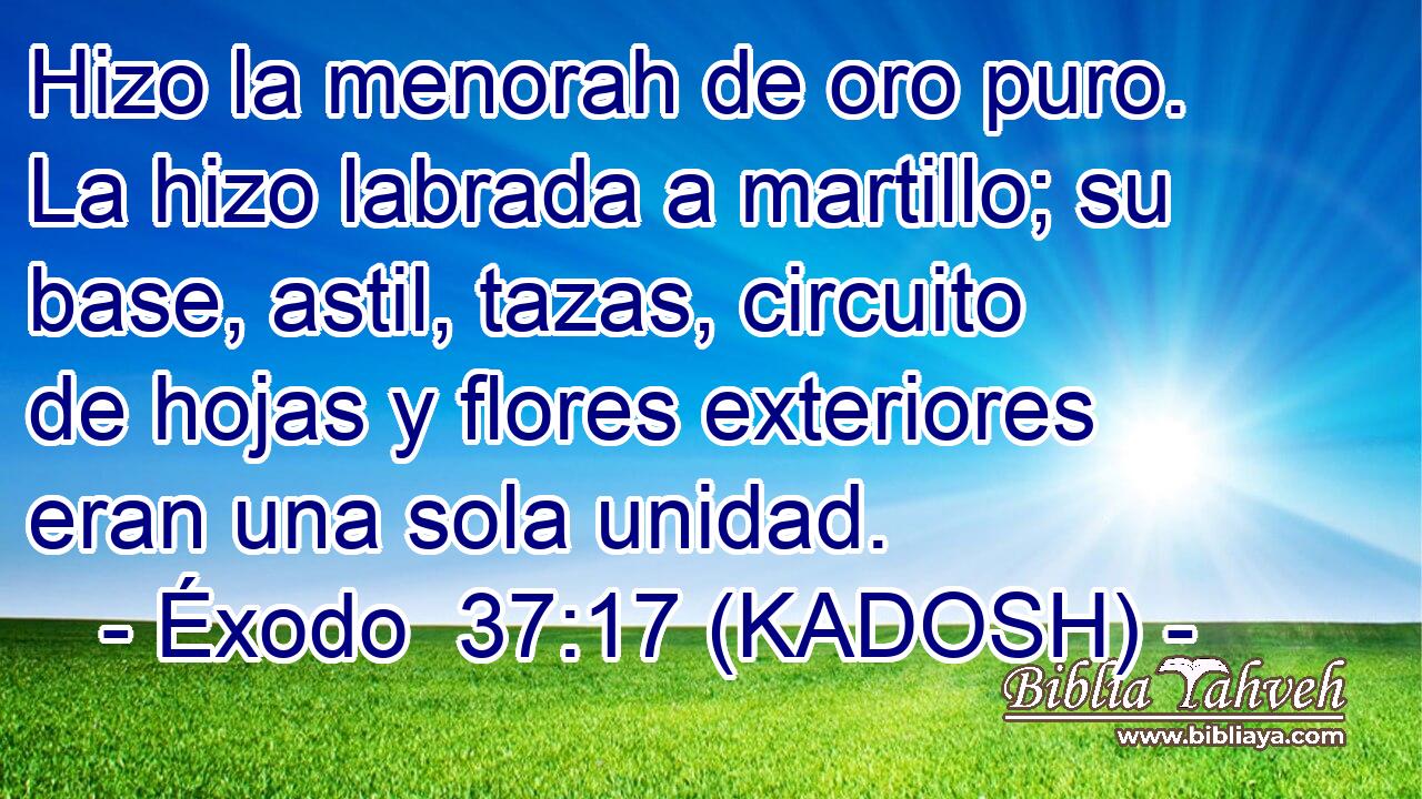  Hizo la menorah de oro puro. La hizo labrada a martillo; su base, astil, tazas, circuito de hojas y flores exteriores eran una sola unidad. 