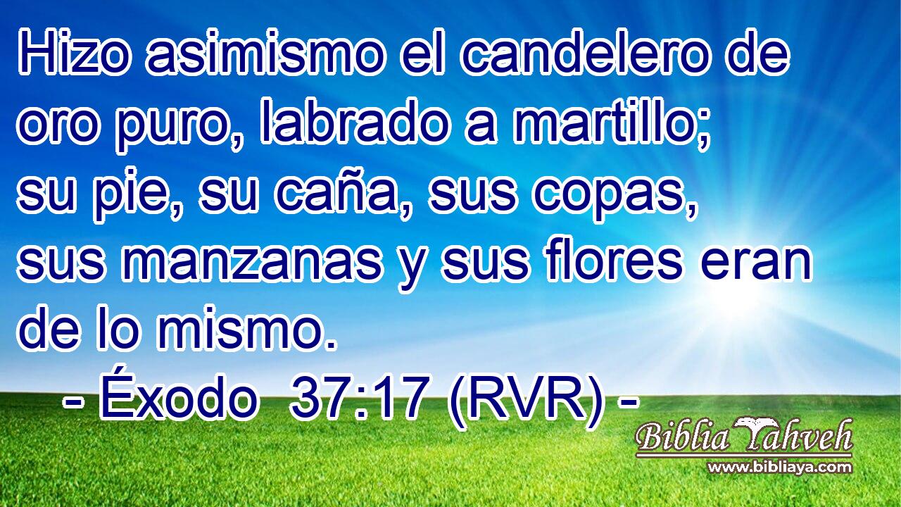 Hizo asimismo el candelero de oro puro, labrado a martillo; su pie, su caña, sus copas, sus manzanas y sus flores eran de lo mismo.
