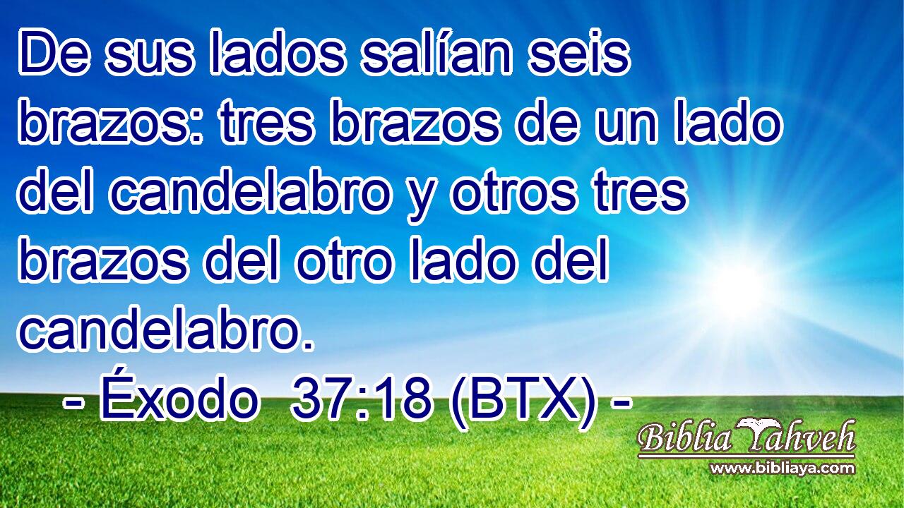 De sus lados salían seis brazos: tres brazos de un lado del candelabro y otros tres brazos del otro lado del candelabro.