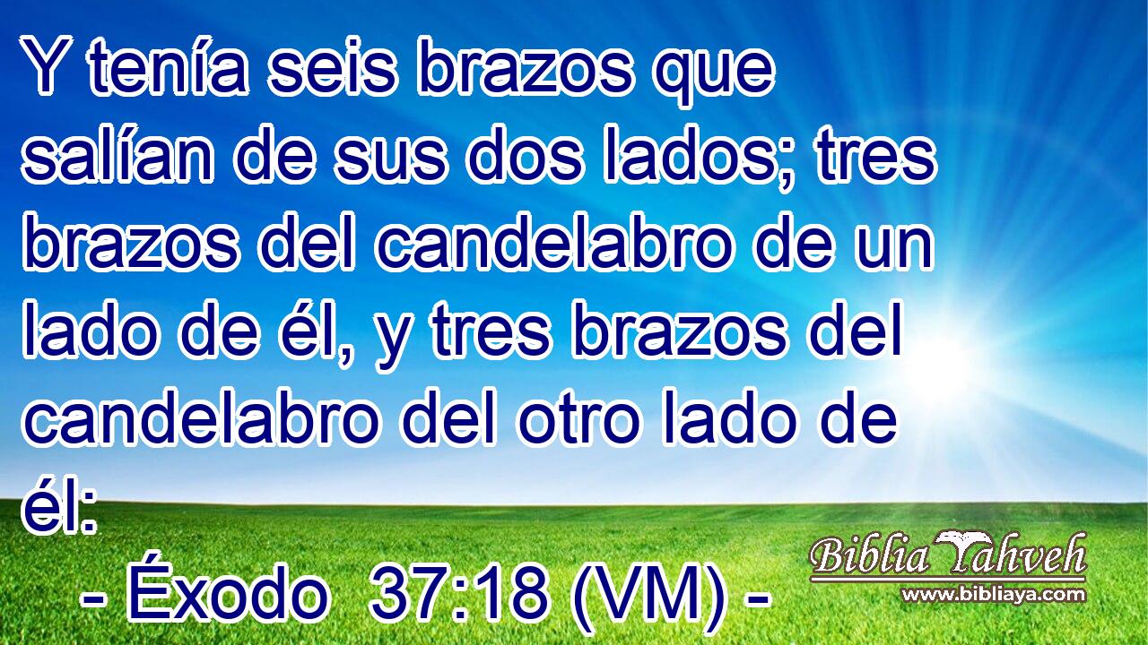  Y tenía seis brazos que salían de sus dos lados; tres brazos del candelabro de un lado de él, y tres brazos del candelabro del otro lado de él: 