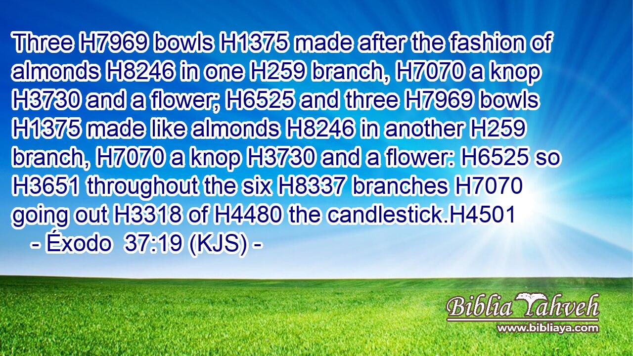 Three H7969 bowls H1375 made after the fashion of almonds H8246 in one H259 branch, H7070 a knop H3730 and a flower; H6525 and three H7969 bowls H1375 made like almonds H8246 in another H259 branch, H7070 a knop H3730 and a flower: H6525 so H3651 throughout the six H8337 branches H7070 going out H3318 of H4480 the candlestick.H4501