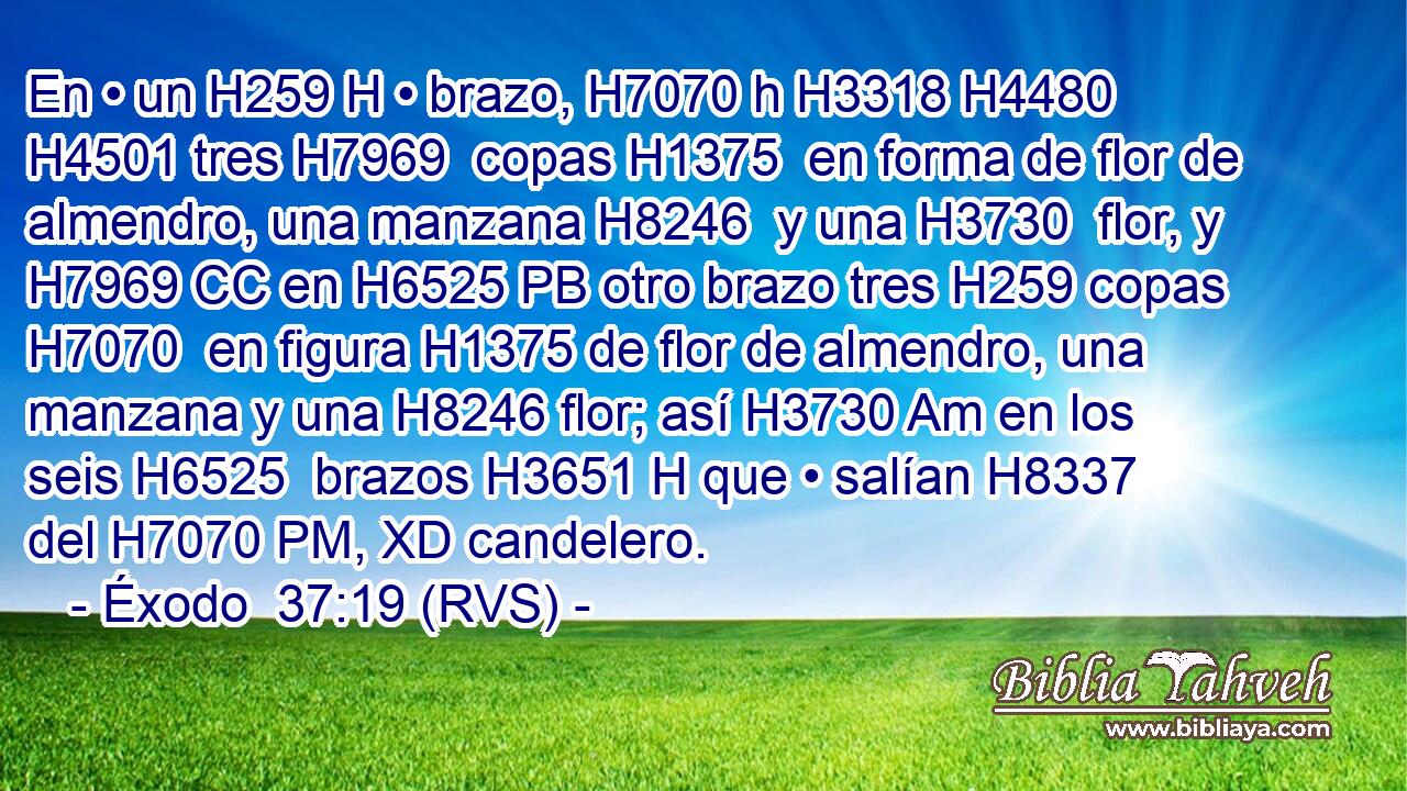 En • un H259 H • brazo, H7070 h H3318 H4480 H4501 tres H7969  copas H1375  en forma de flor de almendro, una manzana H8246  y una H3730  flor, y H7969 CC en H6525 PB otro brazo tres H259 copas H7070  en figura H1375 de flor de almendro, una manzana y una H8246 flor; así H3730 Am en los seis H6525  brazos H3651 H que • salían H8337  del H7070 PM, XD candelero. 