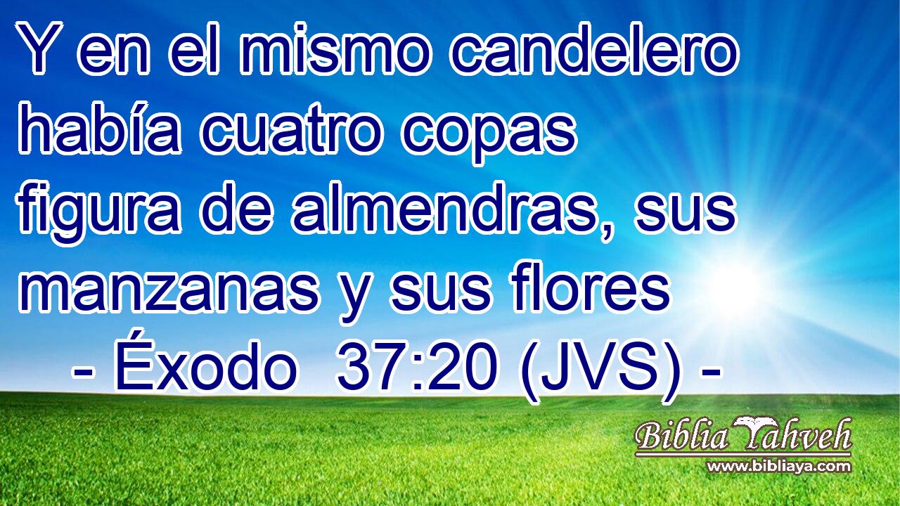 Y en el mismo candelero había cuatro copas figura de almendras, sus manzanas y sus flores