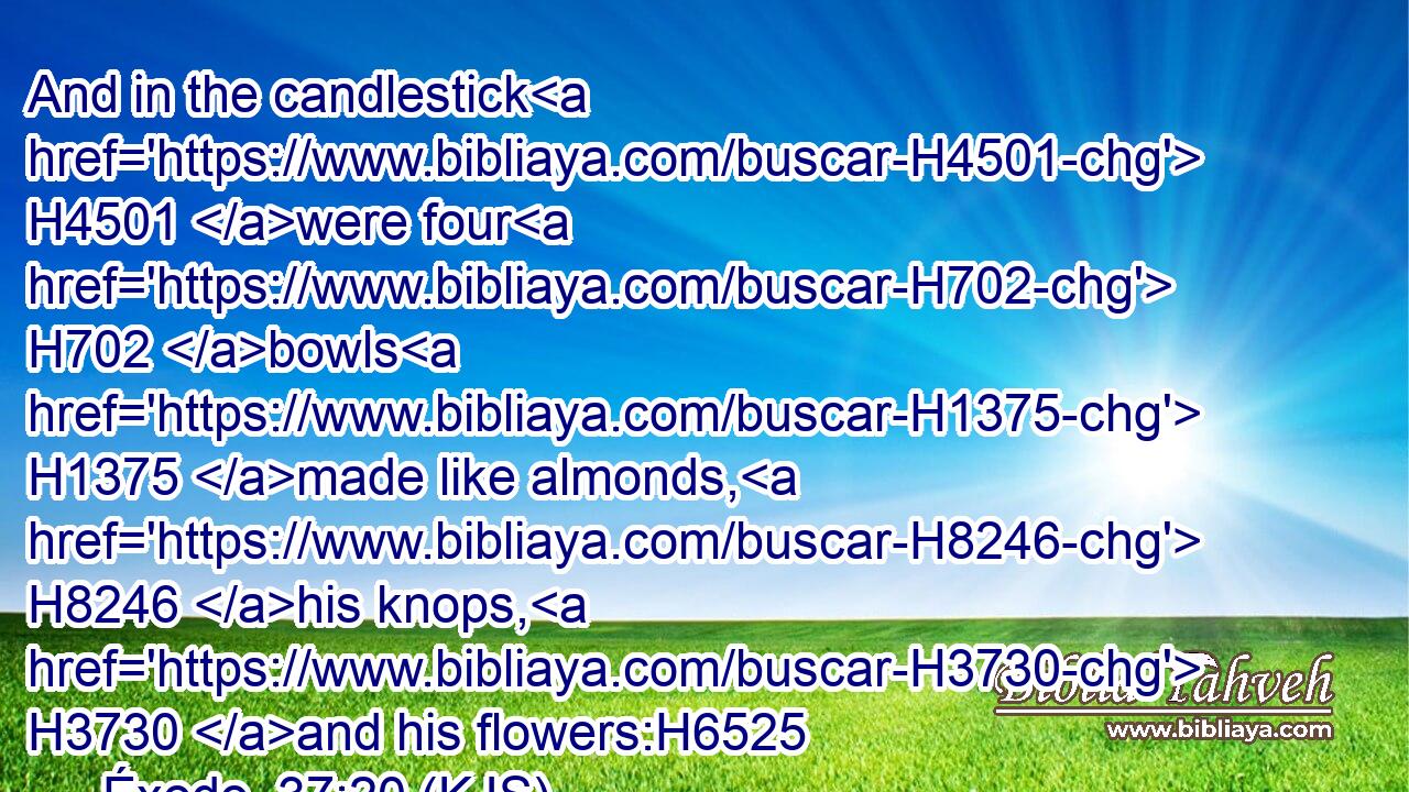 And in the candlestick H4501 were four H702 bowls H1375 made like almonds, H8246 his knops, H3730 and his flowers:H6525