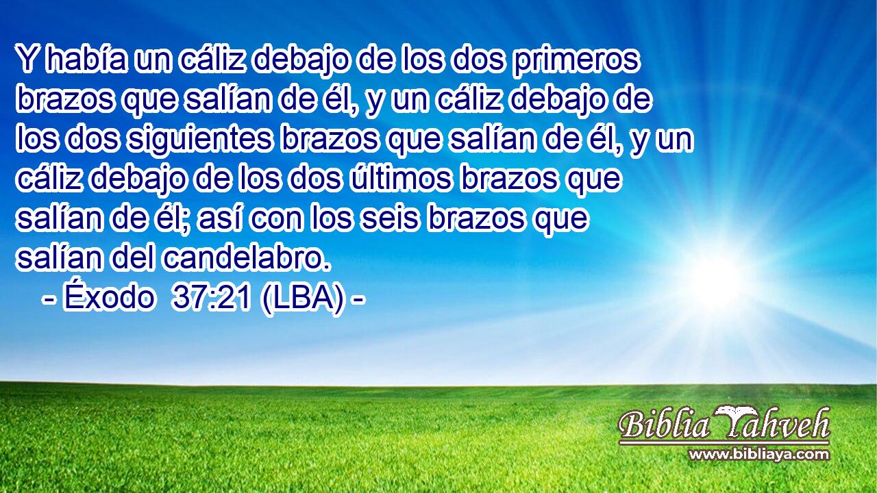 Y había un cáliz debajo de los dos primeros brazos que salían de él, y un cáliz debajo de los dos siguientes brazos que salían de él, y un cáliz debajo de los dos últimos brazos que salían de él; así con los seis brazos que salían del candelabro.