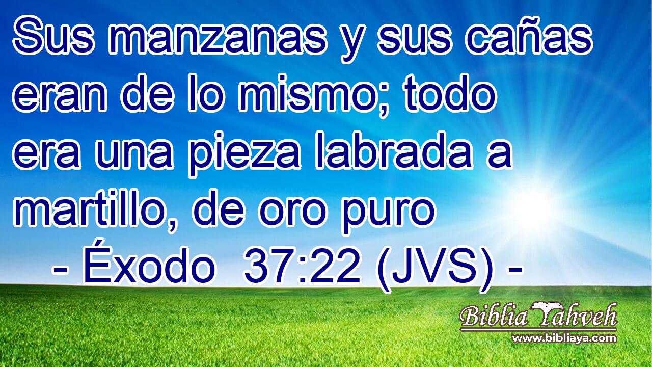 Sus manzanas y sus cañas eran de lo mismo; todo era una pieza labrada a martillo, de oro puro