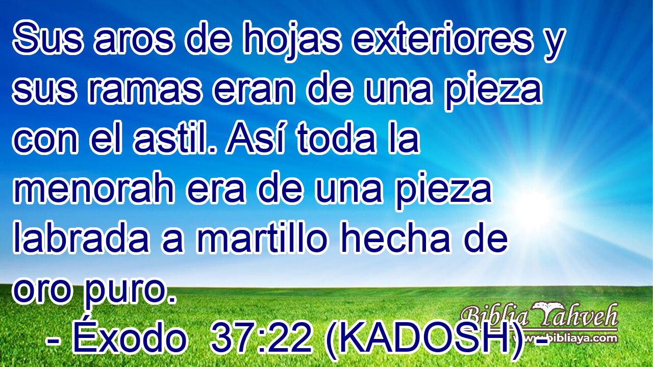  Sus aros de hojas exteriores y sus ramas eran de una pieza con el astil. Así toda la menorah era de una pieza labrada a martillo hecha de oro puro. 