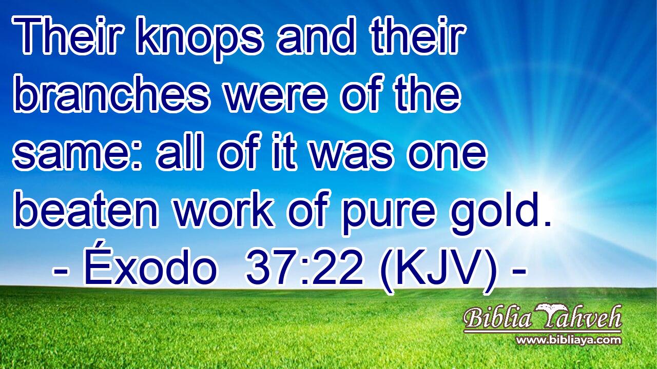 Their knops and their branches were of the same: all of it was one beaten work of pure gold.