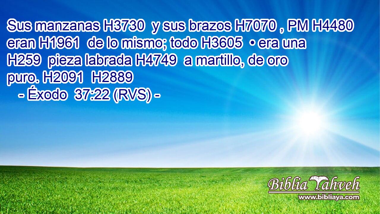 Sus manzanas H3730  y sus brazos H7070 , PM H4480 eran H1961  de lo mismo; todo H3605  • era una H259  pieza labrada H4749  a martillo, de oro puro. H2091  H2889 
