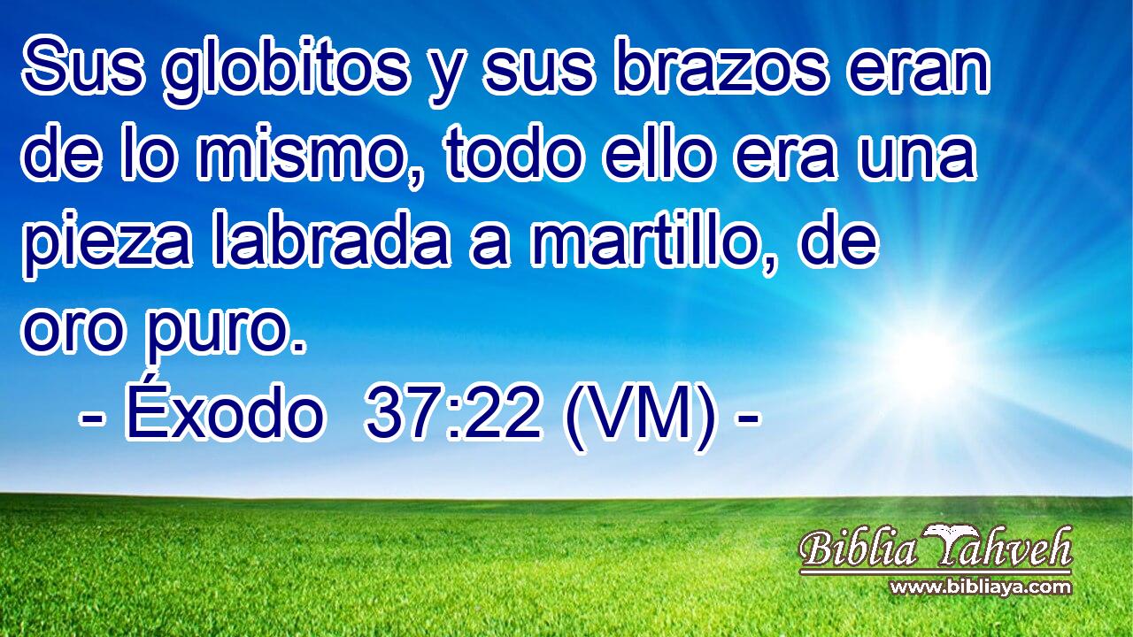  Sus globitos y sus brazos eran de lo mismo, todo ello era una pieza labrada a martillo, de oro puro. 