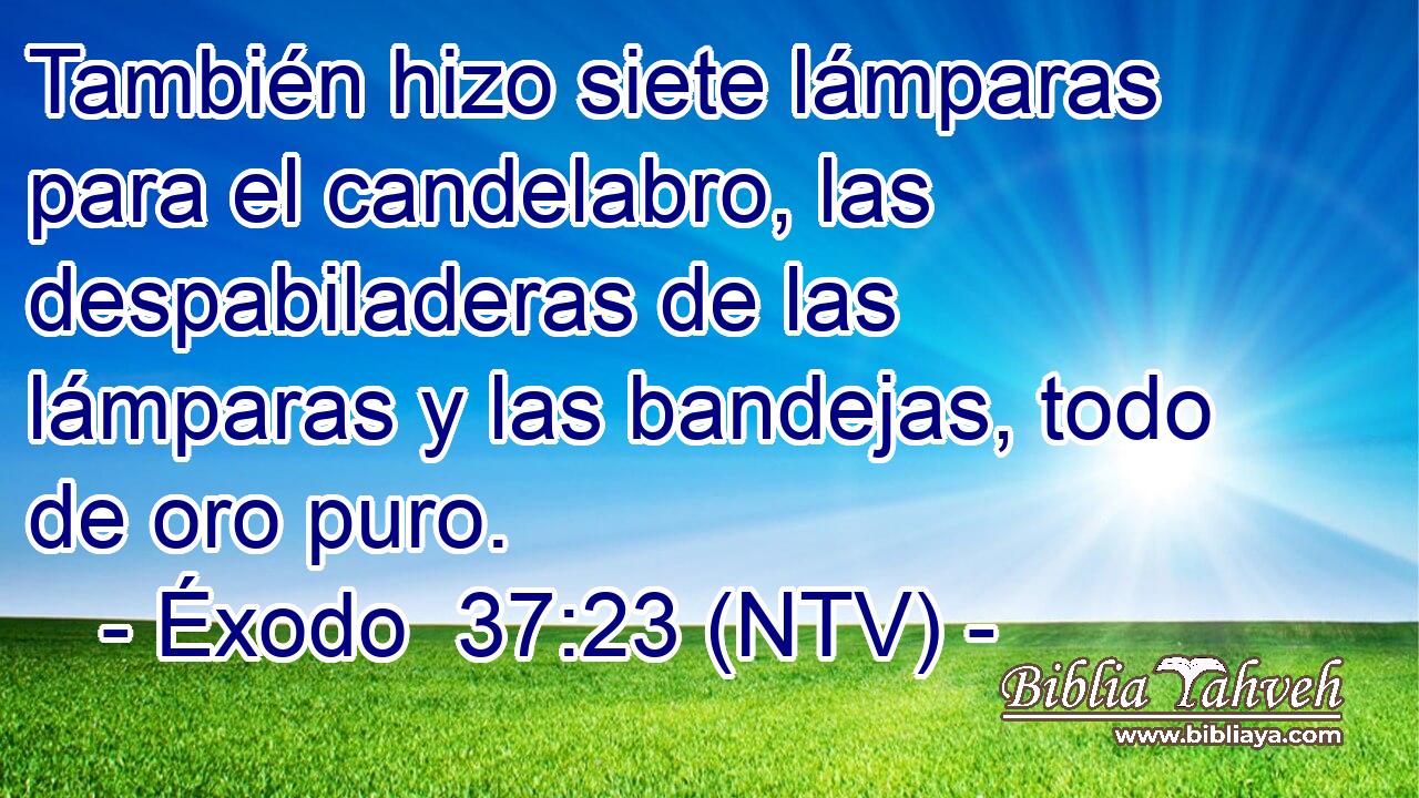 También hizo siete lámparas para el candelabro, las despabiladeras de las lámparas y las bandejas, todo de oro puro.