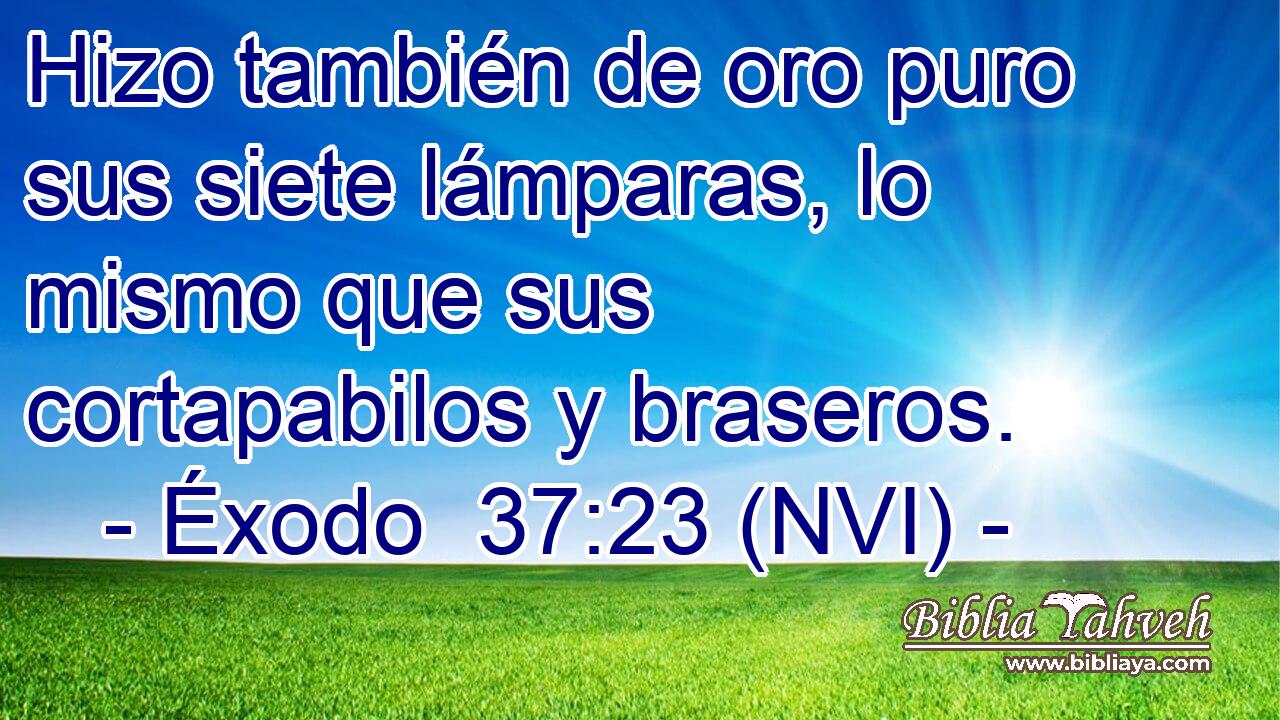  Hizo también de oro puro sus siete lámparas, lo mismo que sus cortapabilos y braseros. 