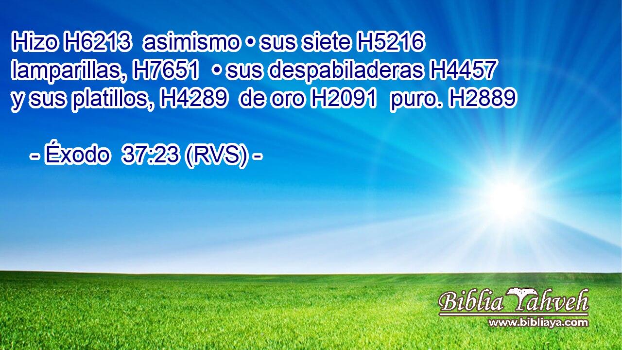 Hizo H6213  asimismo • sus siete H5216  lamparillas, H7651  • sus despabiladeras H4457  y sus platillos, H4289  de oro H2091  puro. H2889  